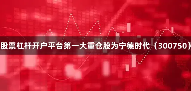 股票杠杆开户平台第一大重仓股为宁德时代（300750）