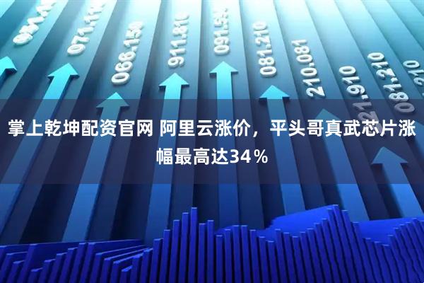 掌上乾坤配资官网 阿里云涨价，平头哥真武芯片涨幅最高达34％
