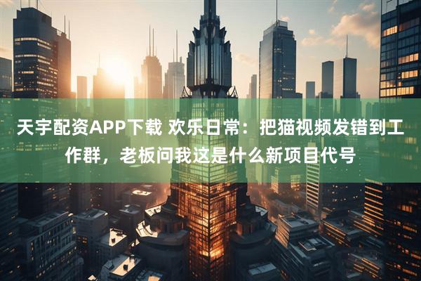 天宇配资APP下载 欢乐日常：把猫视频发错到工作群，老板问我这是什么新项目代号