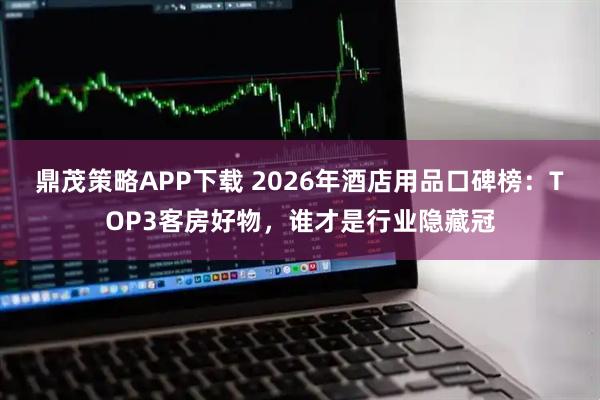 鼎茂策略APP下载 2026年酒店用品口碑榜：TOP3客房好物，谁才是行业隐藏冠